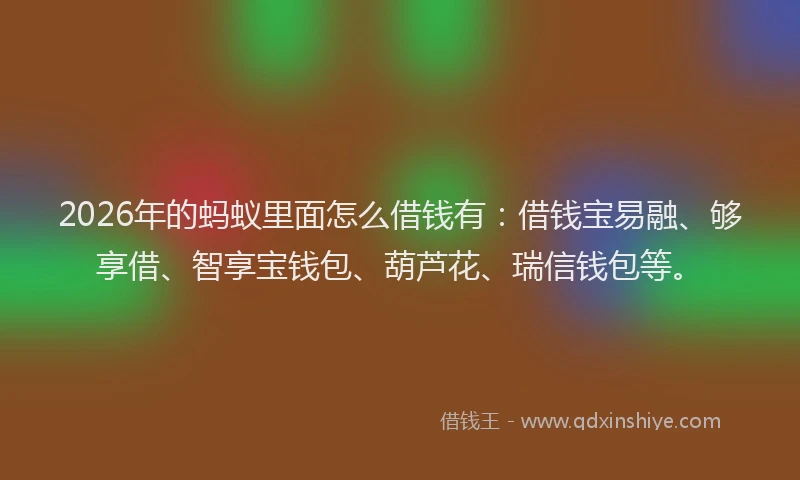 2026年的蚂蚁里面怎么借钱有：借钱宝易融、够享借、智享宝钱包、葫芦花、瑞信钱包等。