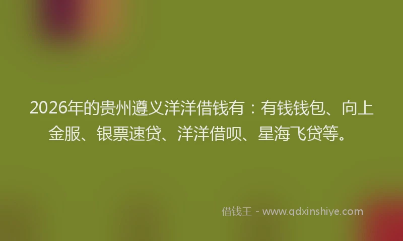 2026年的贵州遵义洋洋借钱有：有钱钱包、向上金服、银票速贷、洋洋借呗、星海飞贷等。