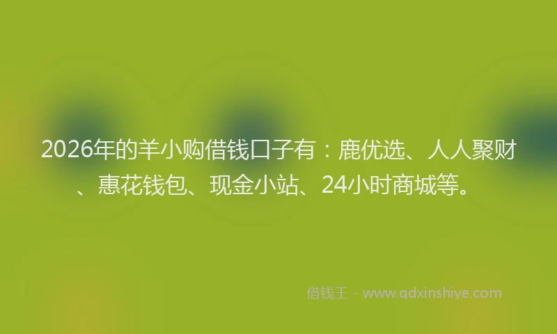 2026年的羊小购借钱口子有：鹿优选、人人聚财、惠花钱包、现金小站、24小时商城等。