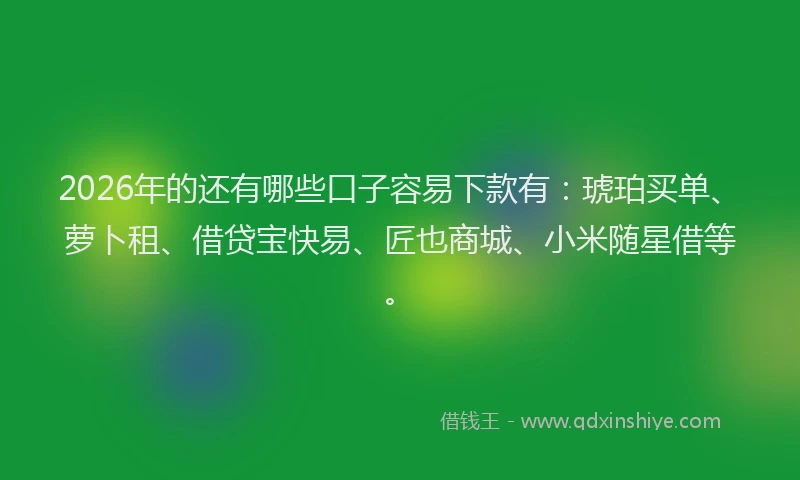 2026年的还有哪些口子容易下款有：琥珀买单、萝卜租、借贷宝快易、匠也商城、小米随星借等。