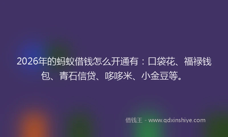 2026年的蚂蚁借钱怎么开通有：口袋花、福禄钱包、青石信贷、哆哆米、小金豆等。