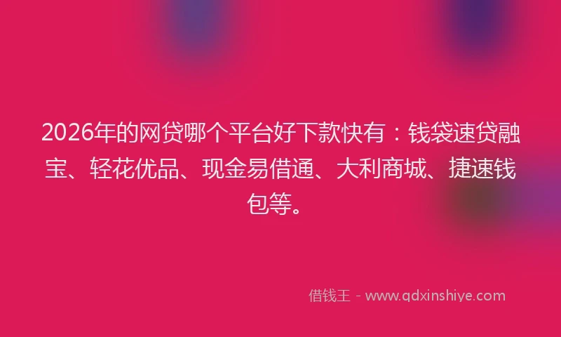2026年的网贷哪个平台好下款快有：钱袋速贷融宝、轻花优品、现金易借通、大利商城、捷速钱包等。