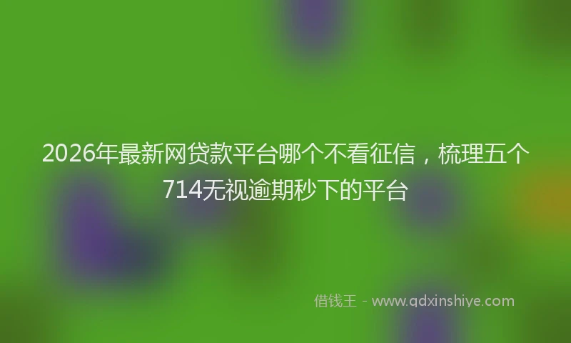 2026年最新网贷款平台哪个不看征信，梳理五个714无视逾期秒下的平台