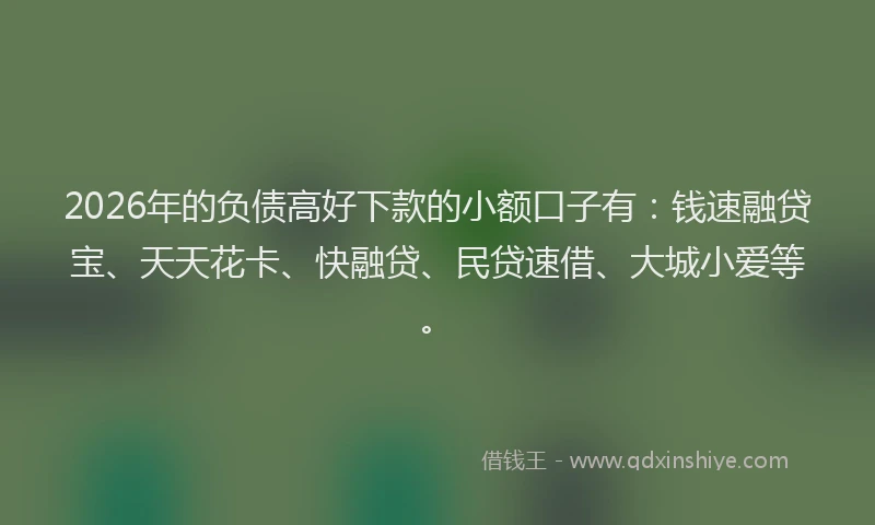 2026年的负债高好下款的小额口子有：钱速融贷宝、天天花卡、快融贷、民贷速借、大城小爱等。