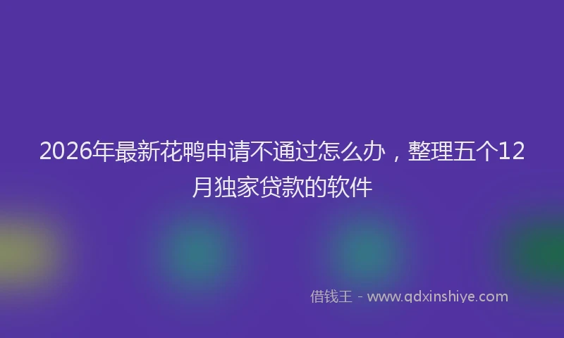 2026年最新花鸭申请不通过怎么办，整理五个12月独家贷款的软件