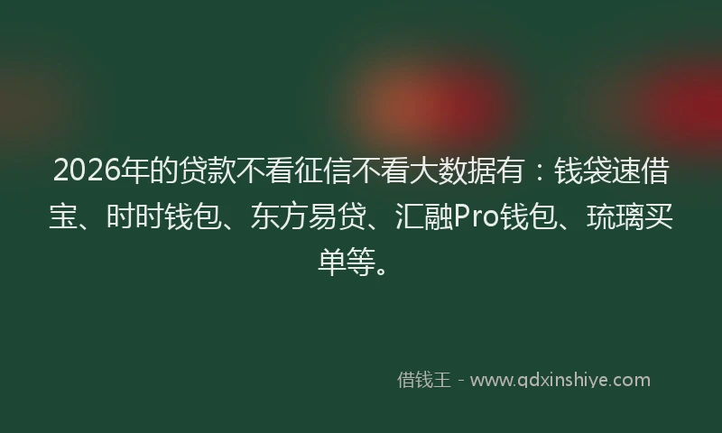 2026年的贷款不看征信不看大数据有：钱袋速借宝、时时钱包、东方易贷、汇融Pro钱包、琉璃买单等。