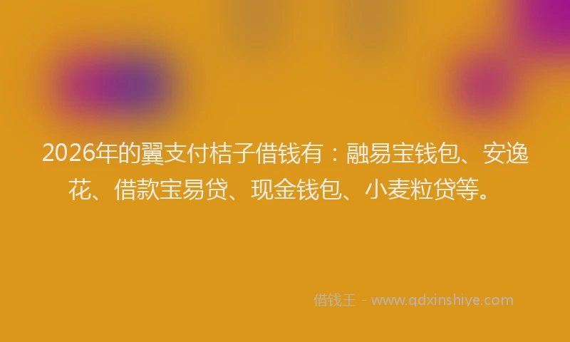 2026年的翼支付桔子借钱有：融易宝钱包、安逸花、借款宝易贷、现金钱包、小麦粒贷等。
