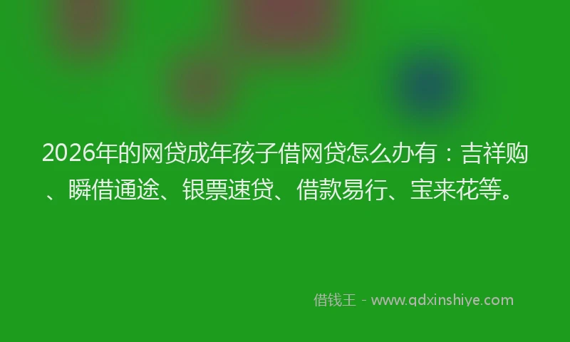 2026年的网贷成年孩子借网贷怎么办有：吉祥购、瞬借通途、银票速贷、借款易行、宝来花等。
