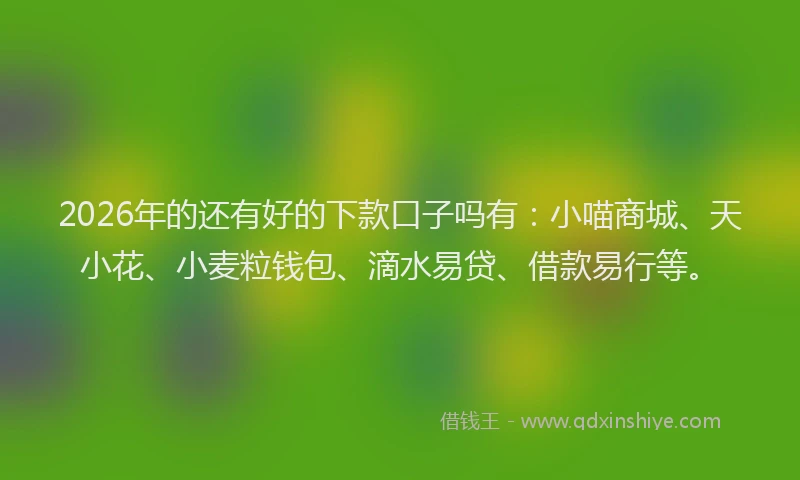 2026年的还有好的下款口子吗有：小喵商城、天小花、小麦粒钱包、滴水易贷、借款易行等。