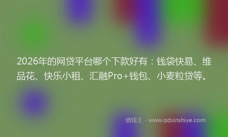 2026年的网贷平台哪个下款好有：钱袋快易、维品花、快乐小租、汇融Pro+钱包、小麦粒贷等。