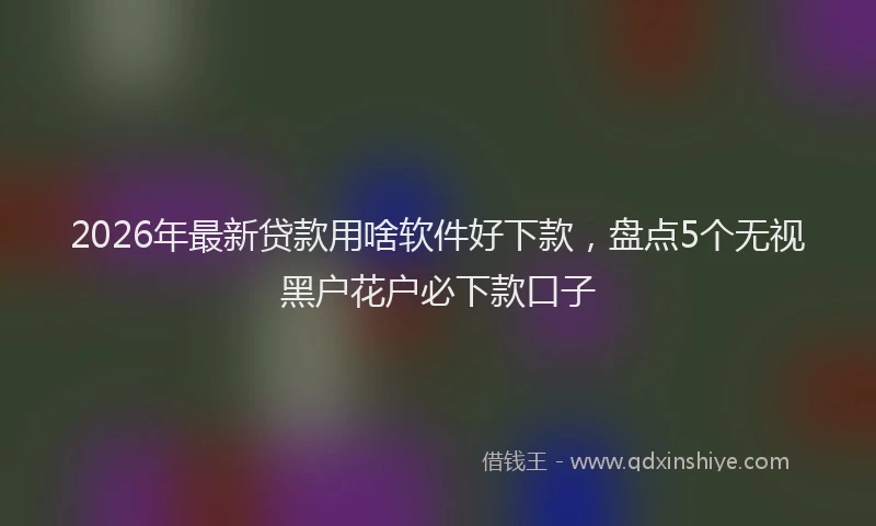 2026年最新贷款用啥软件好下款，盘点5个无视黑户花户必下款口子