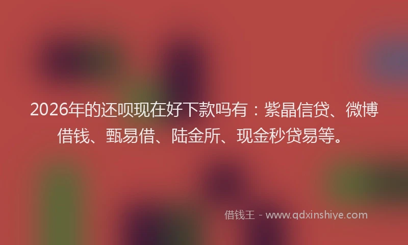 2026年的还呗现在好下款吗有：紫晶信贷、微博借钱、甄易借、陆金所、现金秒贷易等。