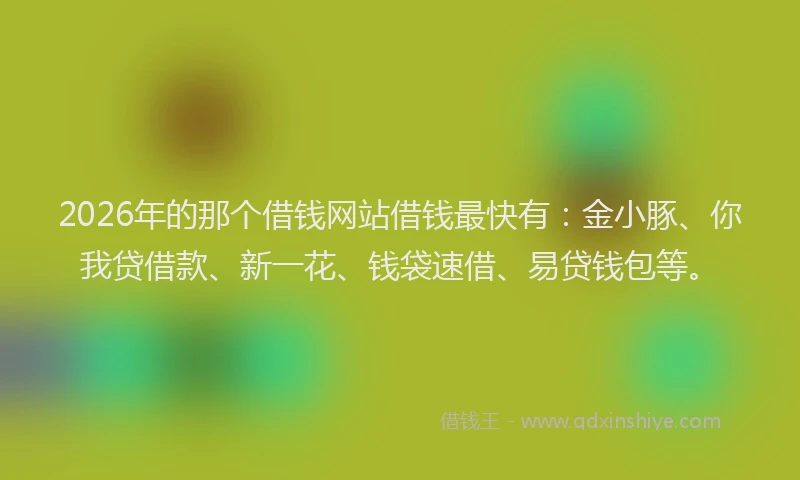 2026年的那个借钱网站借钱最快有：金小豚、你我贷借款、新一花、钱袋速借、易贷钱包等。