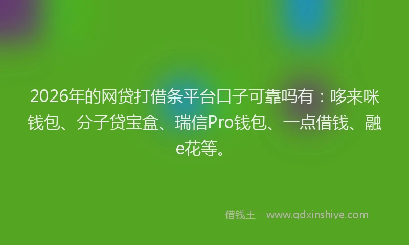 2026年的网贷打借条平台口子可靠吗有：哆来咪钱包、分子贷宝盒、瑞信Pro钱包、一点借钱、融e花等。