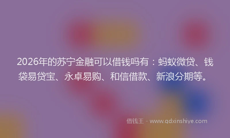 2026年的苏宁金融可以借钱吗有：蚂蚁微贷、钱袋易贷宝、永卓易购、和信借款、新浪分期等。