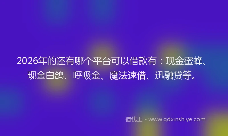 2026年的还有哪个平台可以借款有：现金蜜蜂、现金白鸽、呼吸金、魔法速借、迅融贷等。