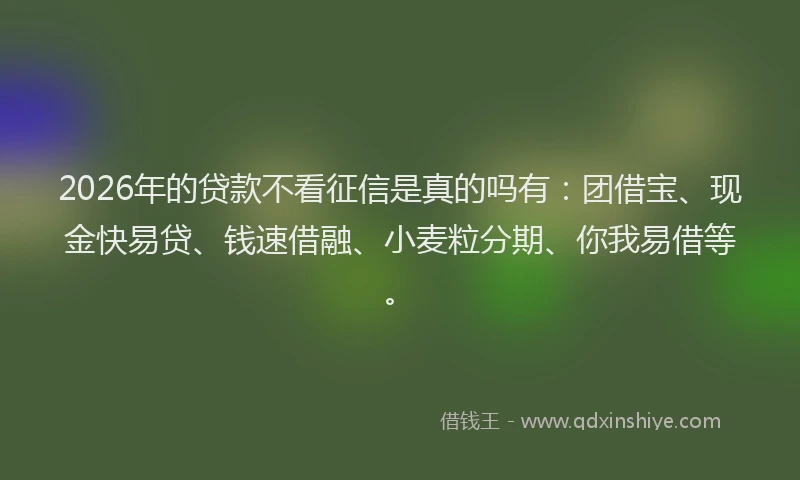 2026年的贷款不看征信是真的吗有：团借宝、现金快易贷、钱速借融、小麦粒分期、你我易借等。