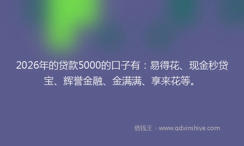 2026年的贷款5000的口子有：易得花、现金秒贷宝、辉誉金融、金满满、享来花等。