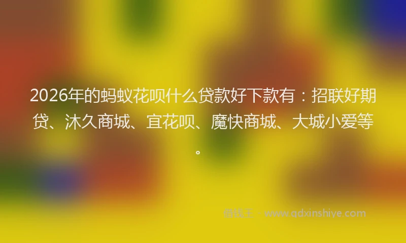 2026年的蚂蚁花呗什么贷款好下款有：招联好期贷、沐久商城、宜花呗、魔快商城、大城小爱等。