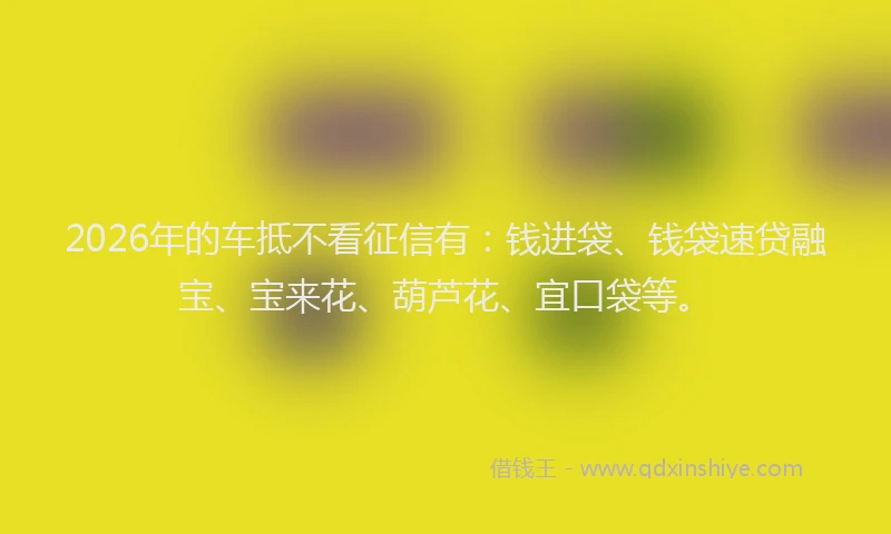 2026年的车抵不看征信有：钱进袋、钱袋速贷融宝、宝来花、葫芦花、宜口袋等。