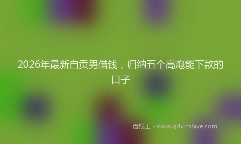 2026年最新自贡男借钱，归纳五个高炮能下款的口子
