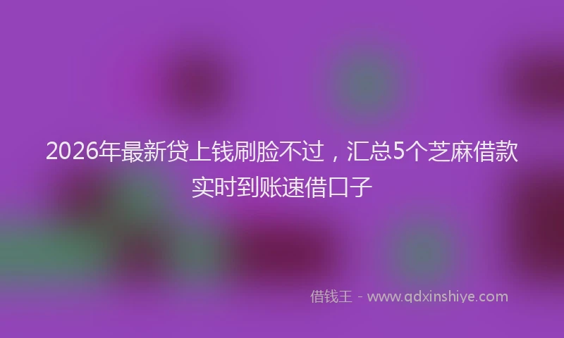 2026年最新贷上钱刷脸不过，汇总5个芝麻借款实时到账速借口子