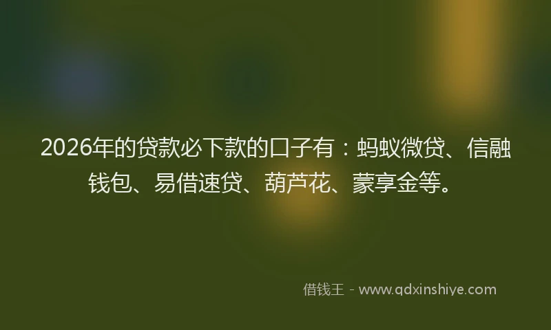 2026年的贷款必下款的口子有：蚂蚁微贷、信融钱包、易借速贷、葫芦花、蒙享金等。