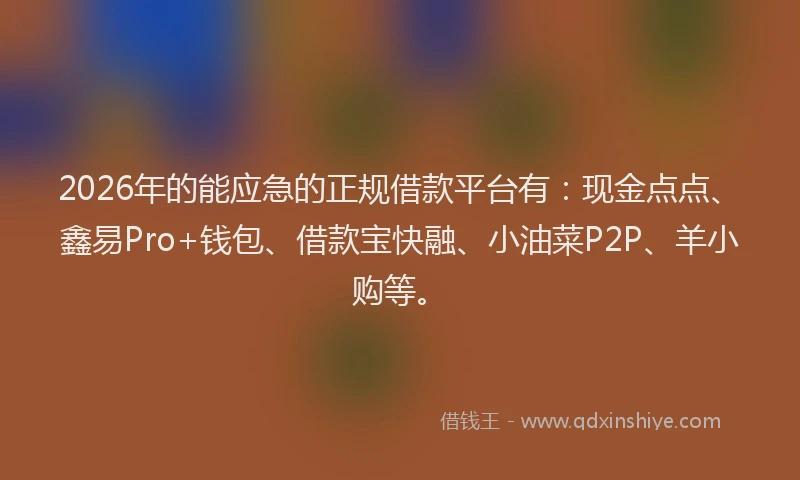 2026年的能应急的正规借款平台有：现金点点、鑫易Pro+钱包、借款宝快融、小油菜P2P、羊小购等。