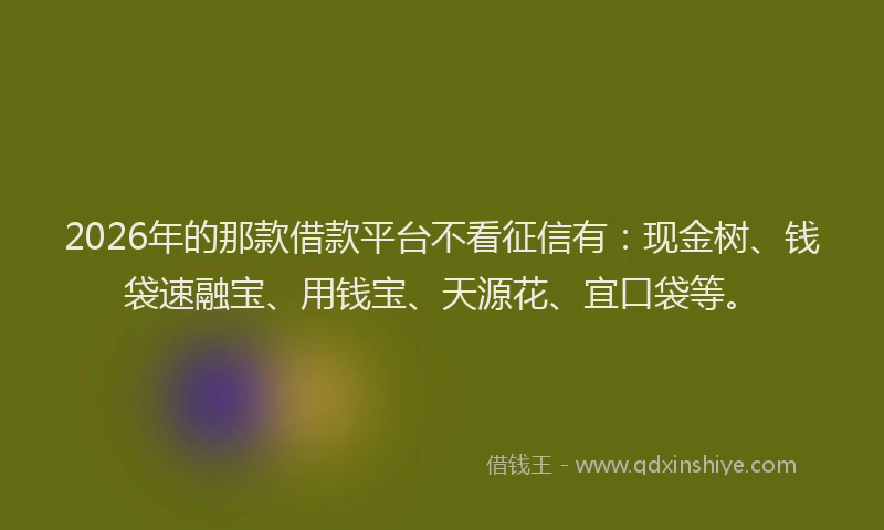 2026年的那款借款平台不看征信有：现金树、钱袋速融宝、用钱宝、天源花、宜口袋等。