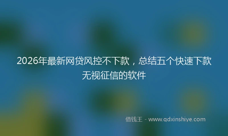 2026年最新网贷风控不下款，总结五个快速下款无视征信的软件