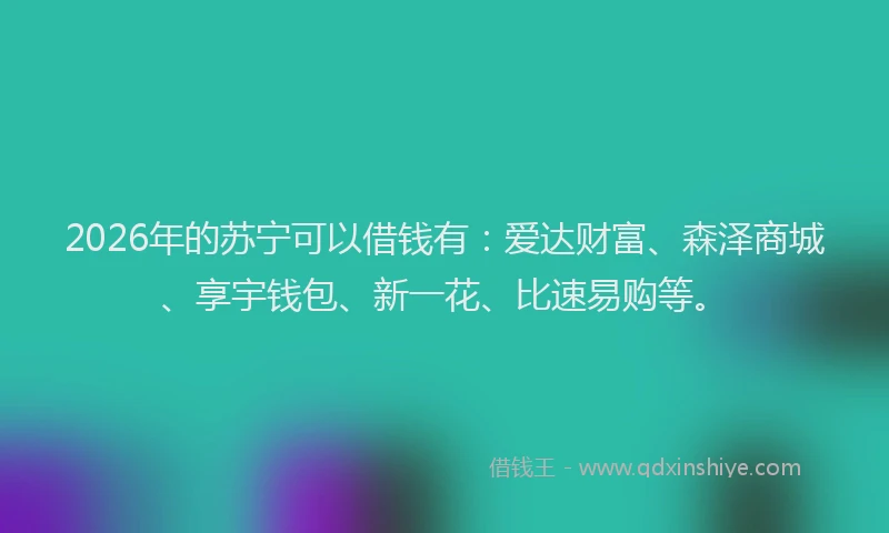 2026年的苏宁可以借钱有：爱达财富、森泽商城、享宇钱包、新一花、比速易购等。