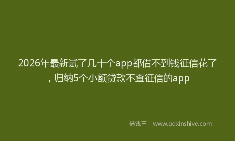2026年最新试了几十个app都借不到钱征信花了，归纳5个小额贷款不查征信的app