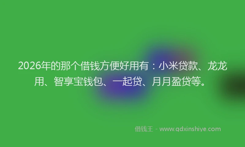 2026年的那个借钱方便好用有：小米贷款、龙龙用、智享宝钱包、一起贷、月月盈贷等。