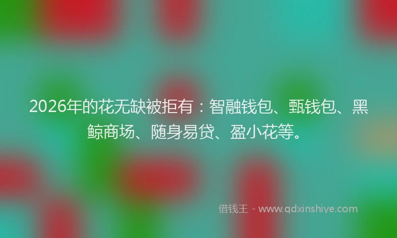 2026年的花无缺被拒有：智融钱包、甄钱包、黑鲸商场、随身易贷、盈小花等。