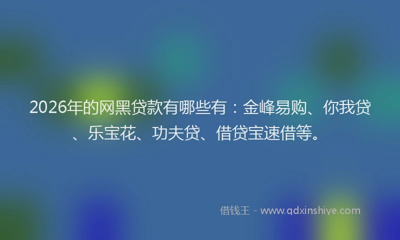 2026年的网黑贷款有哪些有：金峰易购、你我贷、乐宝花、功夫贷、借贷宝速借等。