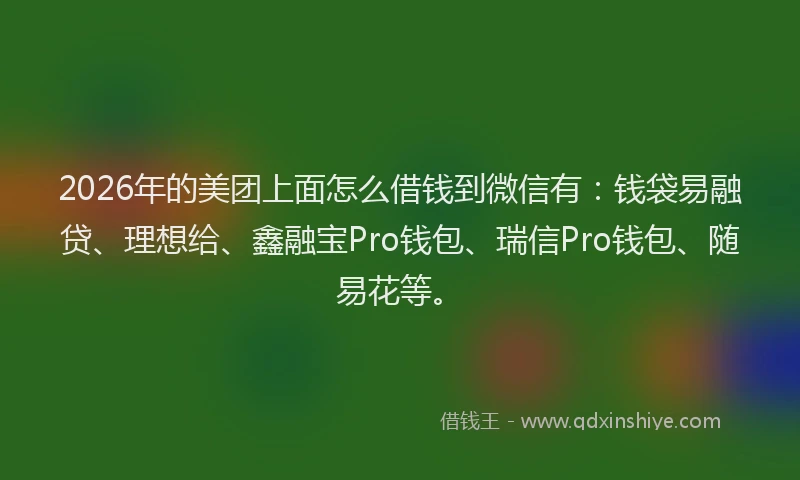 2026年的美团上面怎么借钱到微信有：钱袋易融贷、理想给、鑫融宝Pro钱包、瑞信Pro钱包、随易花等。