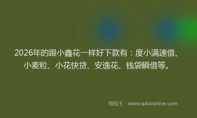 2026年的跟小鑫花一样好下款有：度小满速借、小麦粒、小花快贷、安逸花、钱袋瞬借等。