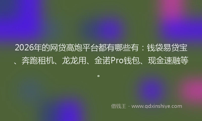 2026年的网贷高炮平台都有哪些有：钱袋易贷宝、奔跑租机、龙龙用、金诺Pro钱包、现金速融等。