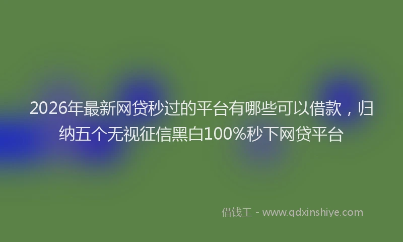 2026年最新网贷秒过的平台有哪些可以借款，归纳五个无视征信黑白100%秒下网贷平台