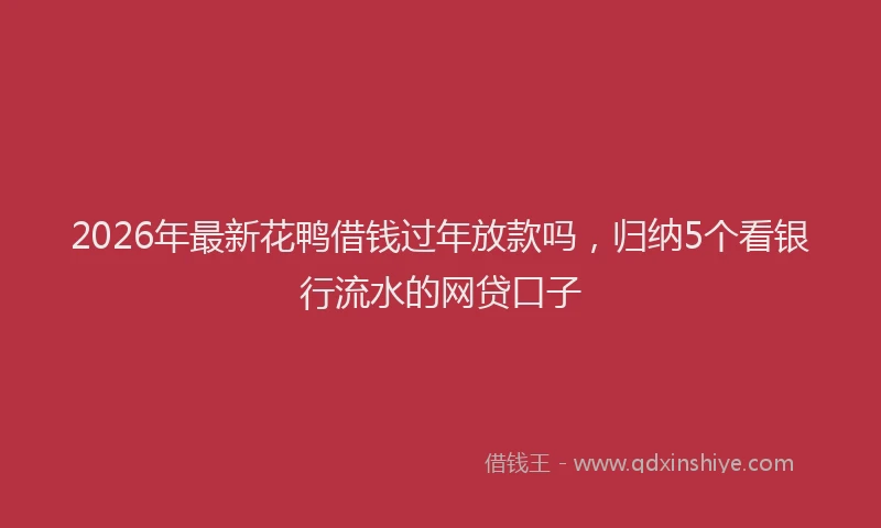 2026年最新花鸭借钱过年放款吗，归纳5个看银行流水的网贷口子