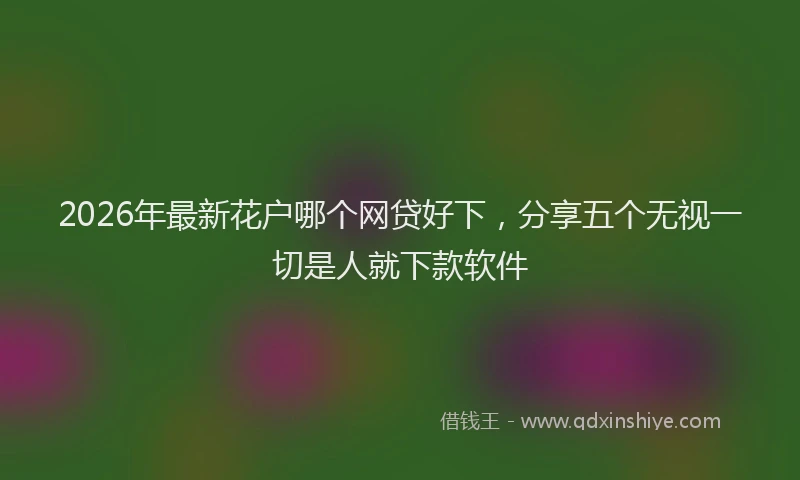 2026年最新花户哪个网贷好下，分享五个无视一切是人就下款软件