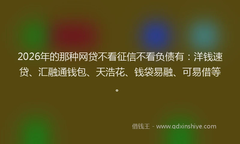 2026年的那种网贷不看征信不看负债有：洋钱速贷、汇融通钱包、天浩花、钱袋易融、可易借等。