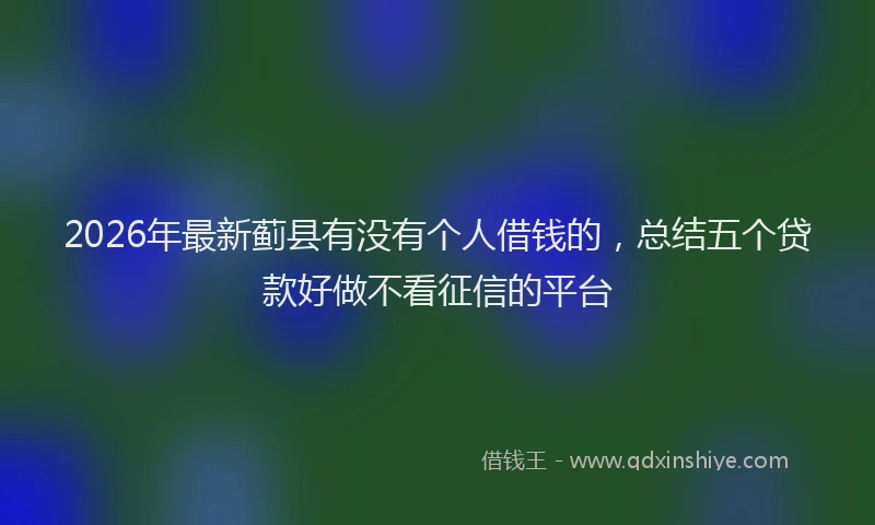 2026年最新蓟县有没有个人借钱的，总结五个贷款好做不看征信的平台