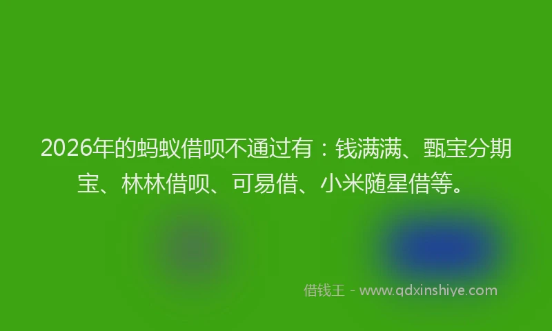 2026年的蚂蚁借呗不通过有：钱满满、甄宝分期宝、林林借呗、可易借、小米随星借等。