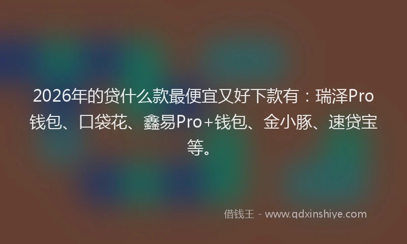 2026年的贷什么款最便宜又好下款有：瑞泽Pro钱包、口袋花、鑫易Pro+钱包、金小豚、速贷宝等。