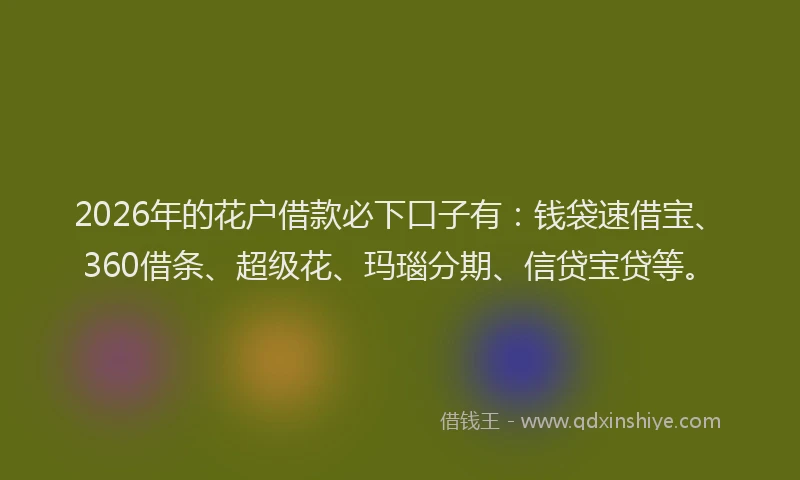 2026年的花户借款必下口子有：钱袋速借宝、360借条、超级花、玛瑙分期、信贷宝贷等。