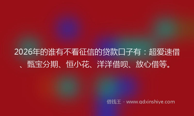 2026年的谁有不看征信的贷款口子有：超爱速借、甄宝分期、恒小花、洋洋借呗、放心借等。
