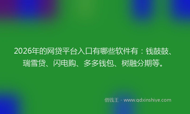 2026年的网贷平台入口有哪些软件有：钱鼓鼓、瑞雪贷、闪电购、多多钱包、树融分期等。