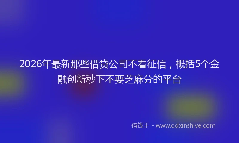 2026年最新那些借贷公司不看征信，概括5个金融创新秒下不要芝麻分的平台