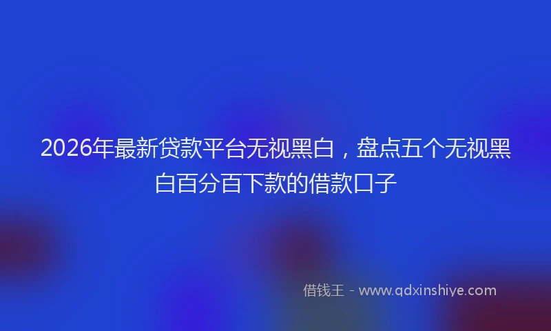 2026年最新贷款平台无视黑白，盘点五个无视黑白百分百下款的借款口子